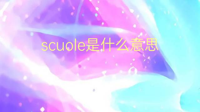 scuole是什么意思 scuole的翻译、读音、例句、中文解释