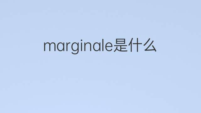 marginale是什么意思 marginale的翻译、读音、例句、中文解释