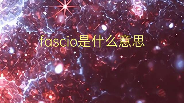 fascio是什么意思 fascio的翻译、读音、例句、中文解释