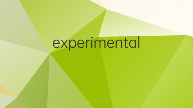 experimental是什么意思 experimental的翻译、读音、例句、中文解释