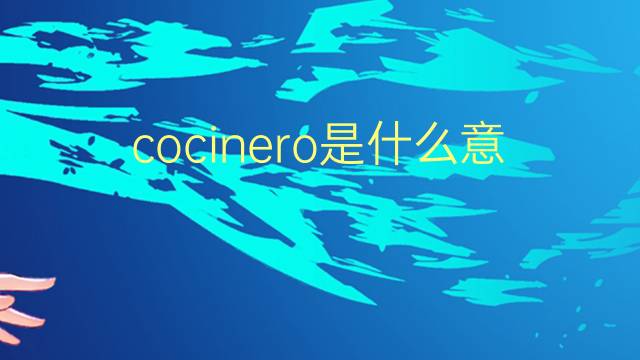 cocinero是什么意思 cocinero的翻译、读音、例句、中文解释