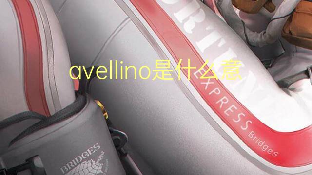 avellino是什么意思 英文名avellino的翻译、发音、来源