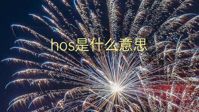 hos是什么意思 hos的翻译、读音、例句、中文解释