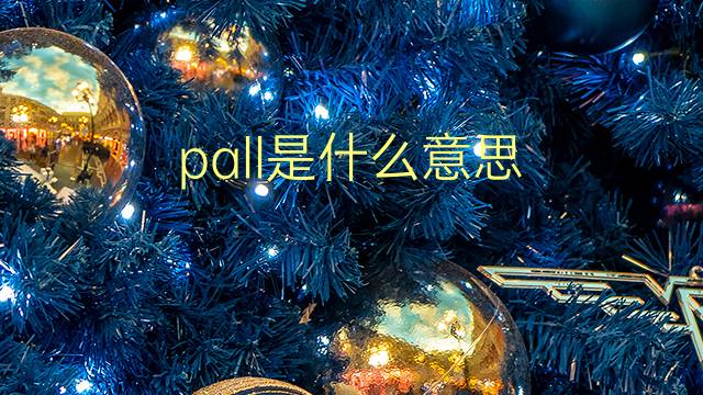 pall是什么意思 pall的翻译、读音、例句、中文解释