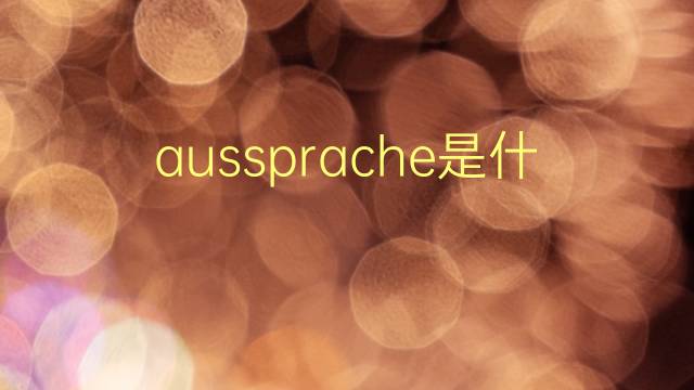 aussprache是什么意思 aussprache的翻译、读音、例句、中文解释