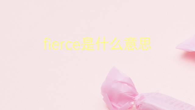 fierce是什么意思 fierce的翻译、读音、例句、中文解释