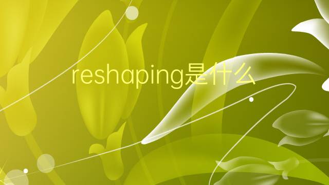 reshaping是什么意思 reshaping的翻译、读音、例句、中文解释