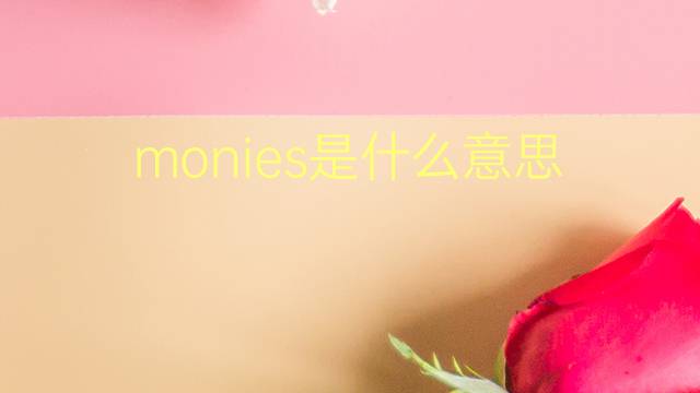 monies是什么意思 monies的翻译、读音、例句、中文解释