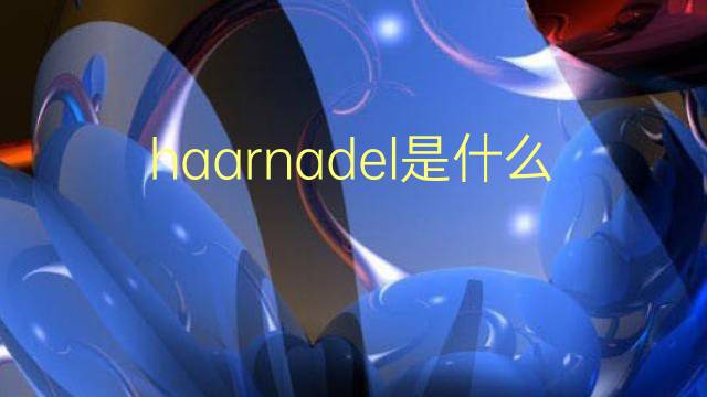 haarnadel是什么意思 haarnadel的翻译、读音、例句、中文解释