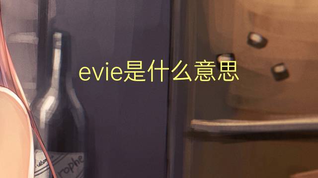 evie是什么意思 evie的翻译、读音、例句、中文解释