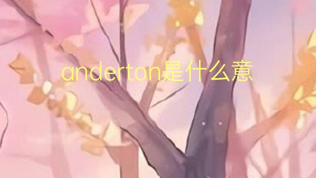 anderton是什么意思 anderton的翻译、读音、例句、中文解释