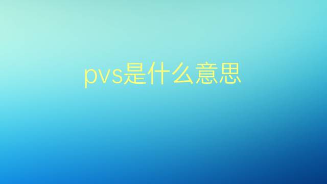 pvs是什么意思 pvs的翻译、读音、例句、中文解释