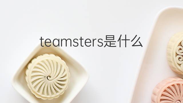 teamsters是什么意思 teamsters的翻译、读音、例句、中文解释