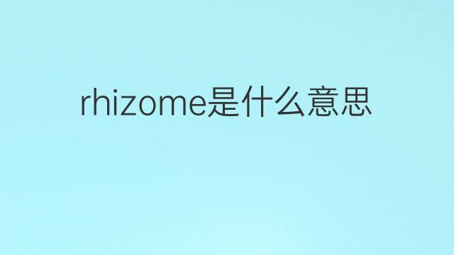 rhizome是什么意思 rhizome的翻译、读音、例句、中文解释