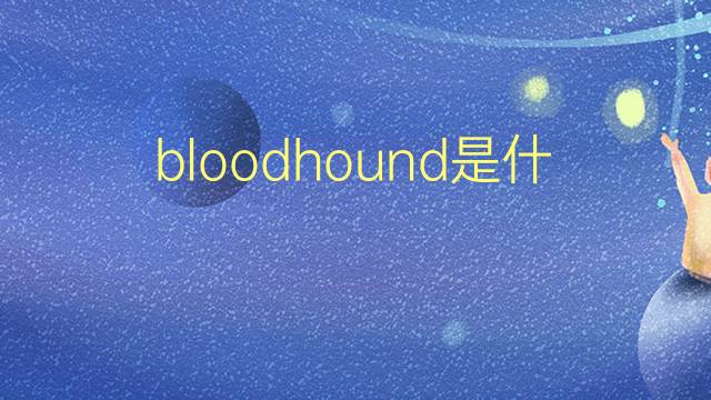 bloodhound是什么意思 bloodhound的翻译、读音、例句、中文解释