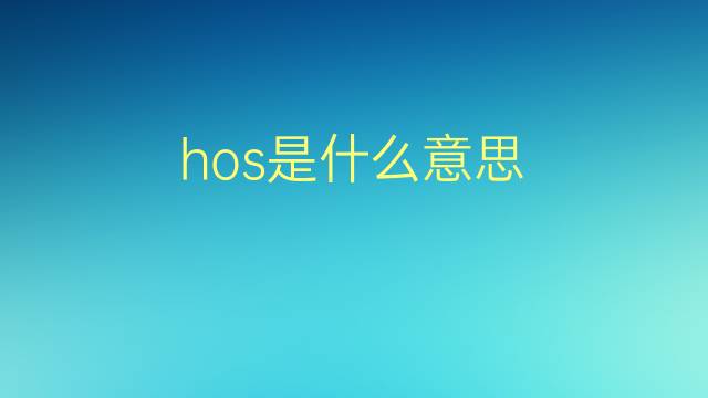 hos是什么意思 hos的翻译、读音、例句、中文解释