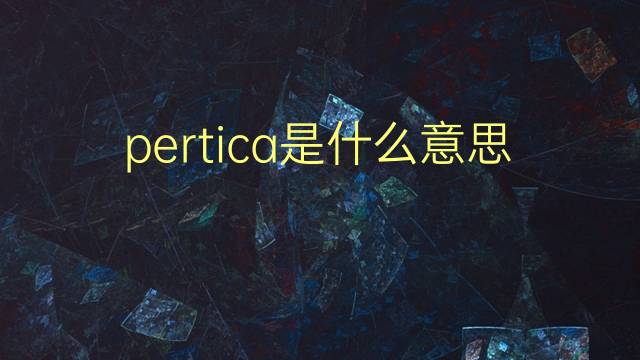 pertica是什么意思 pertica的翻译、读音、例句、中文解释