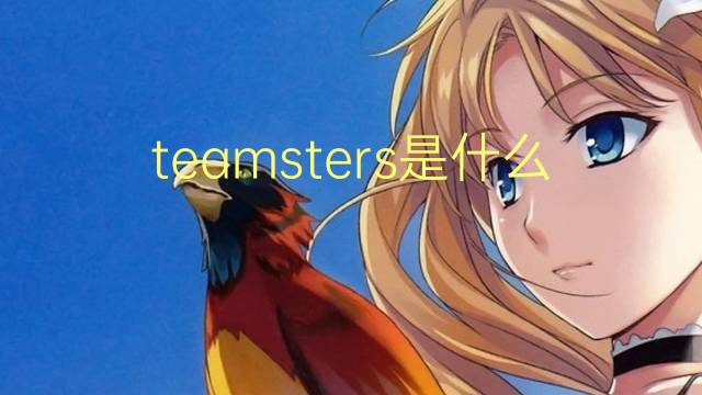 teamsters是什么意思 teamsters的翻译、读音、例句、中文解释