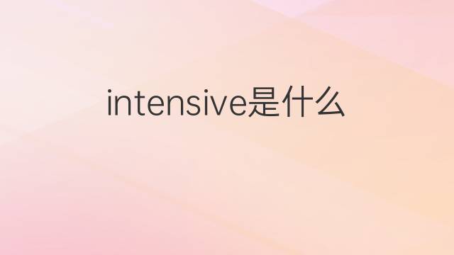 intensive是什么意思 intensive的翻译、读音、例句、中文解释