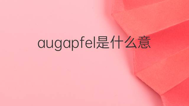 augapfel是什么意思 augapfel的翻译、读音、例句、中文解释