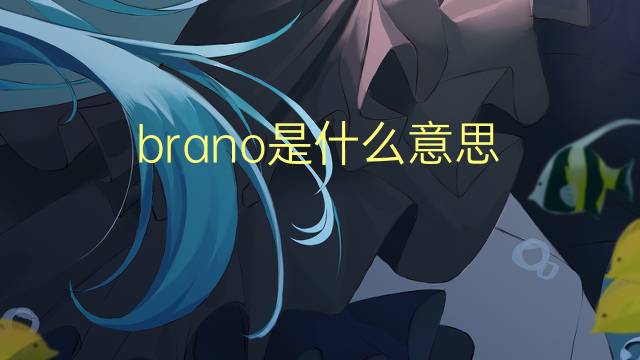 brano是什么意思 brano的翻译、读音、例句、中文解释