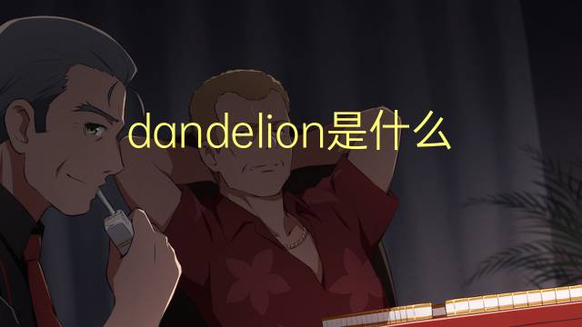 dandelion是什么意思 dandelion的翻译、读音、例句、中文解释