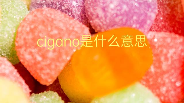 cigano是什么意思 cigano的翻译、读音、例句、中文解释