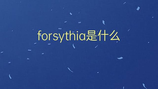 forsythia是什么意思 forsythia的翻译、读音、例句、中文解释