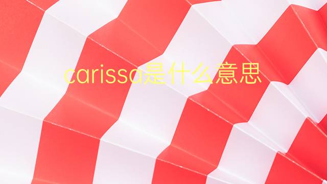 carissa是什么意思 carissa的翻译、读音、例句、中文解释