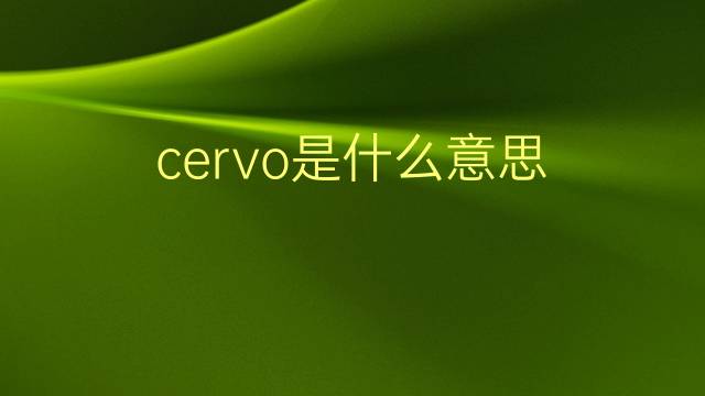 cervo是什么意思 cervo的翻译、读音、例句、中文解释