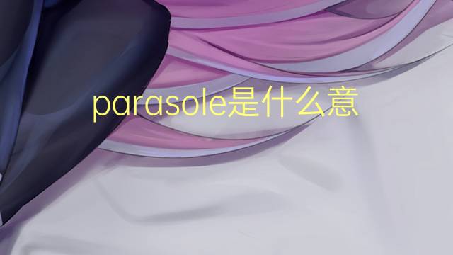 parasole是什么意思 parasole的翻译、读音、例句、中文解释