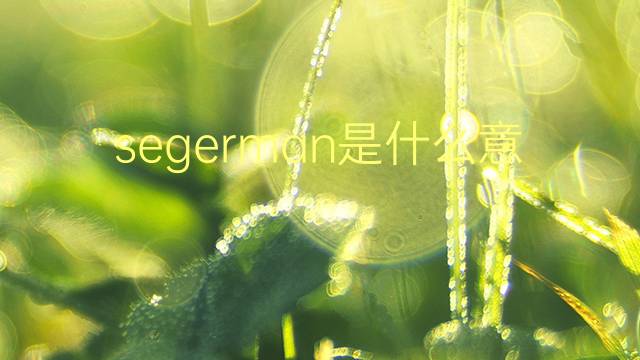 segerman是什么意思 segerman的翻译、读音、例句、中文解释