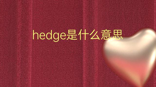 hedge是什么意思 hedge的翻译、读音、例句、中文解释