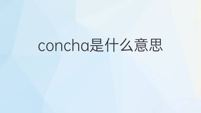 concha是什么意思 concha的翻译、读音、例句、中文解释