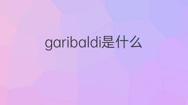 garibaldi是什么意思 garibaldi的翻译、读音、例句、中文解释