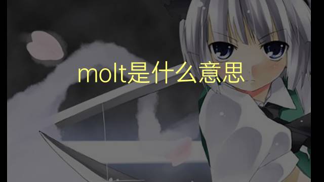 molt是什么意思 molt的翻译、读音、例句、中文解释