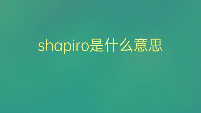 shapiro是什么意思 shapiro的翻译、读音、例句、中文解释