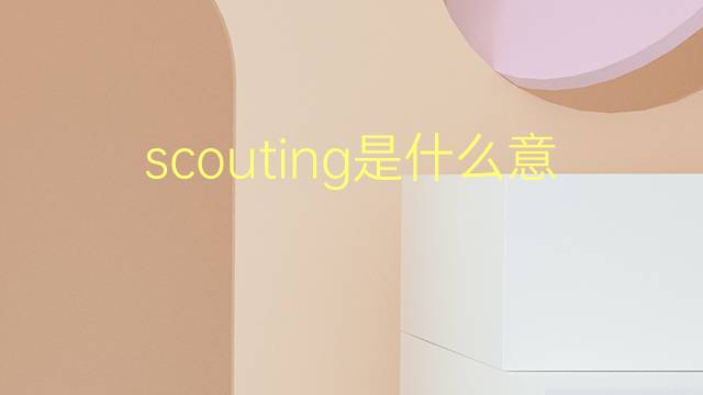 scouting是什么意思 scouting的翻译、读音、例句、中文解释