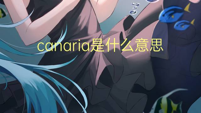 canaria是什么意思 canaria的翻译、读音、例句、中文解释