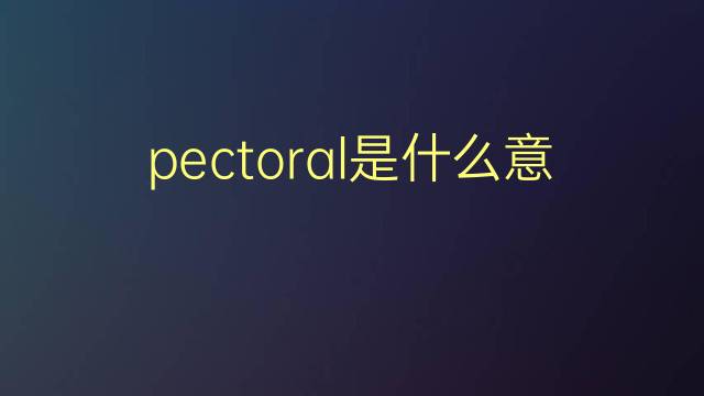 pectoral是什么意思 pectoral的翻译、读音、例句、中文解释