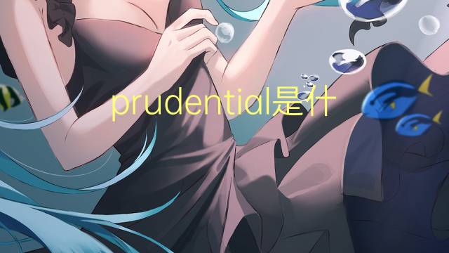 prudential是什么意思 prudential的翻译、读音、例句、中文解释