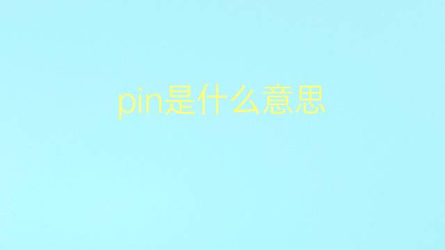 pin是什么意思 pin的翻译、读音、例句、中文解释