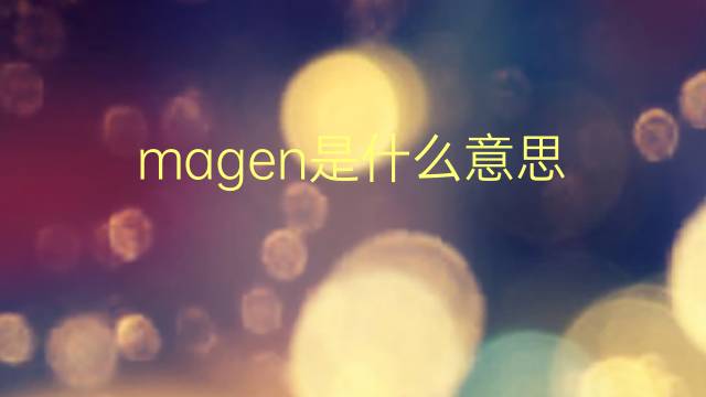 magen是什么意思 magen的翻译、读音、例句、中文解释