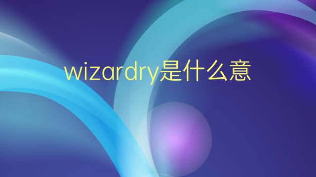 wizardry是什么意思 wizardry的翻译、读音、例句、中文解释