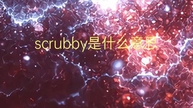 scrubby是什么意思 scrubby的翻译、读音、例句、中文解释