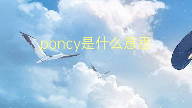 poncy是什么意思 poncy的翻译、读音、例句、中文解释