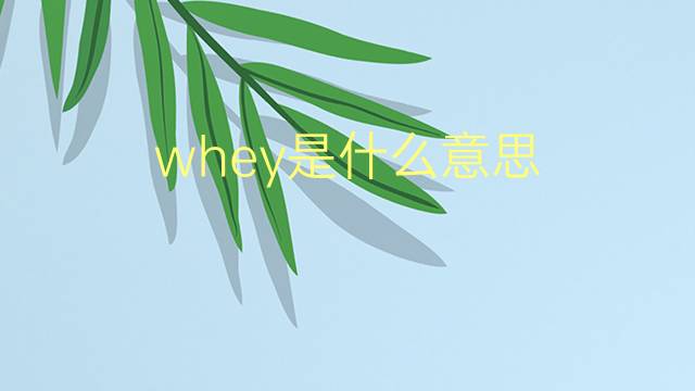 whey是什么意思 whey的翻译、读音、例句、中文解释