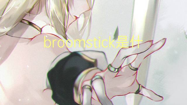 broomstick是什么意思 broomstick的翻译、读音、例句、中文解释