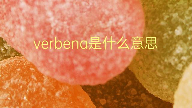 verbena是什么意思 verbena的翻译、读音、例句、中文解释