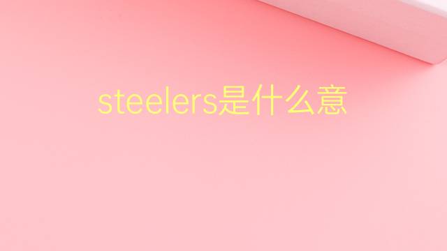 steelers是什么意思 steelers的翻译、读音、例句、中文解释